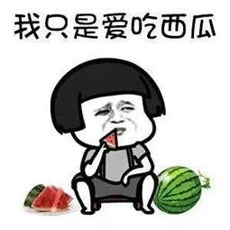 全娱乐都得吃我的瓜,全娱乐都得吃我的瓜，真相大起底！